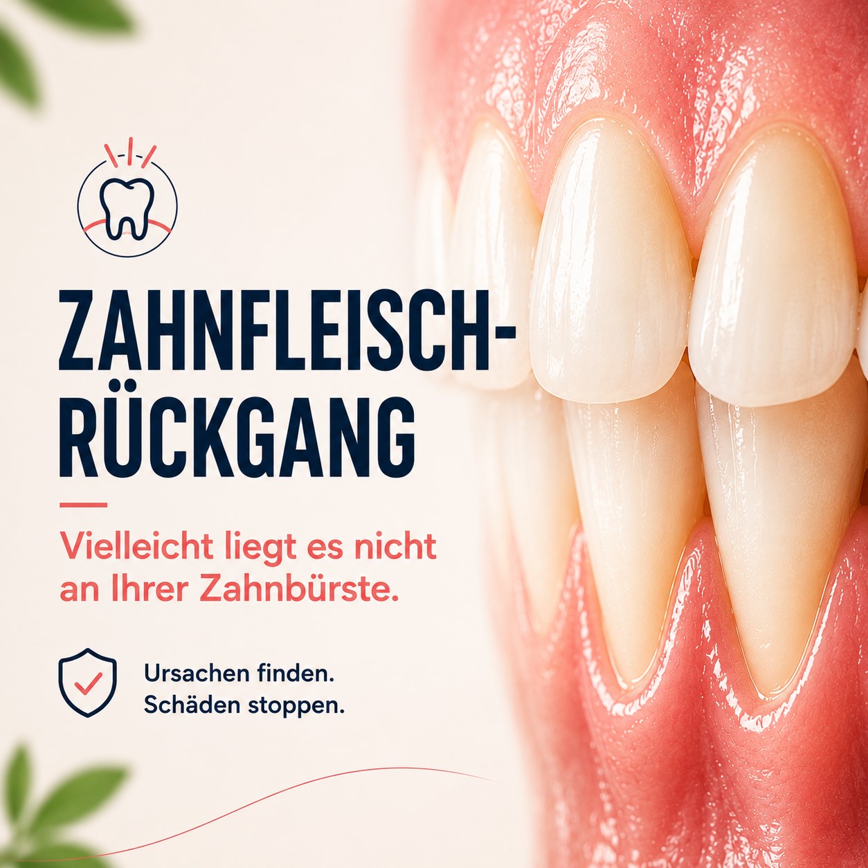 Kann zurückgegangenes Zahnfleisch wieder normal werden?
