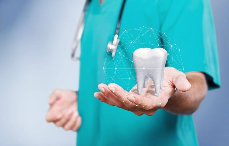 dentist holding mini teeth model and shows it.